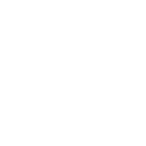 image of a fast truck